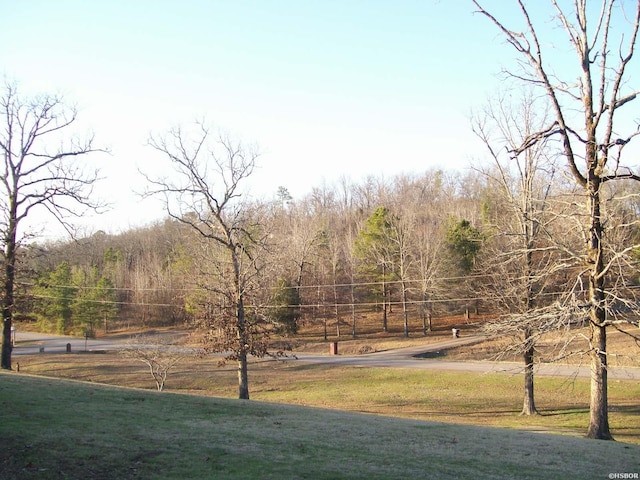 view of yard featuring a rural view