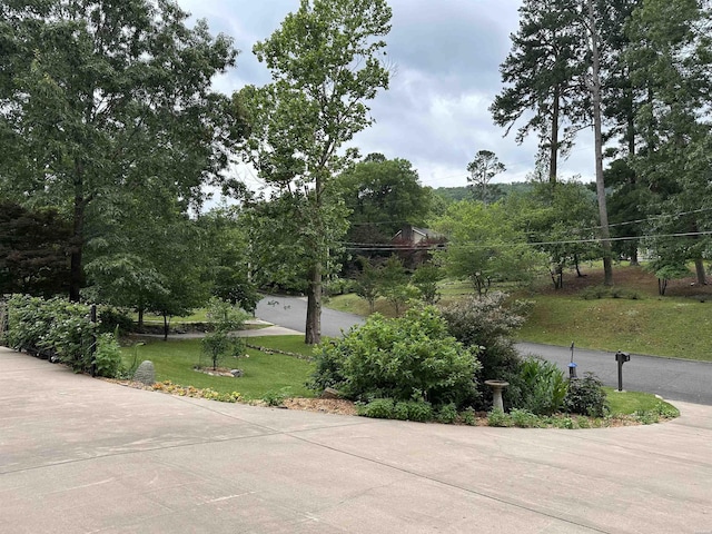 126 Circle Dr, Hot Springs, AR 71901 - photo 14