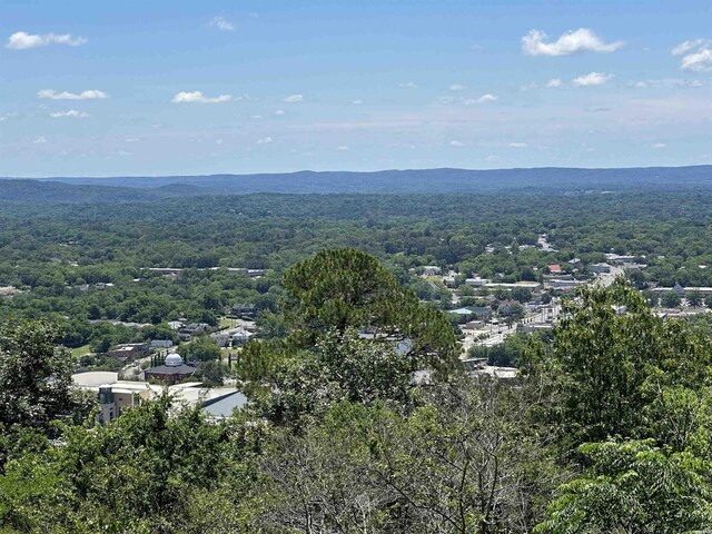 126 Circle Dr, Hot Springs, AR 71901 - photo 24