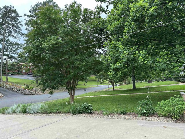 126 Circle Dr, Hot Springs, AR 71901 - photo 16