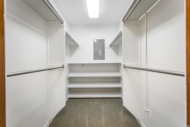 spacious closet featuring electric panel and dark colored carpet