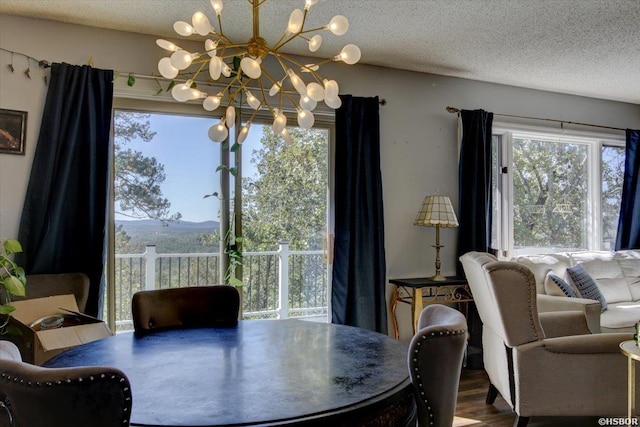 dining area with a textured ceiling, a chandelier, wood finished floors, and a healthy amount of sunlight