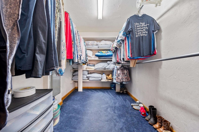 walk in closet with dark carpet