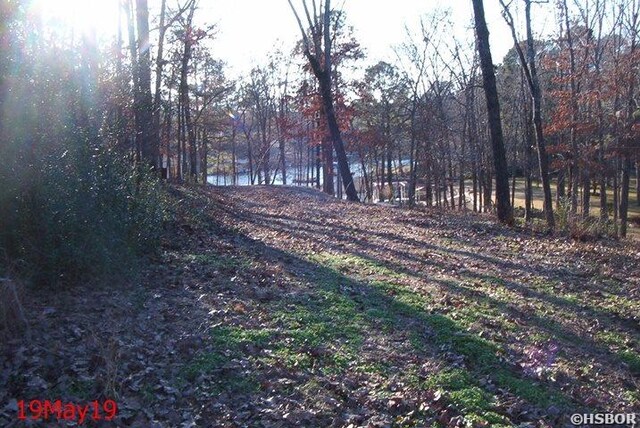 119 Bluebird Ln, Hot Springs, AR 71913