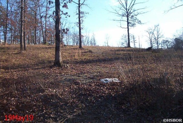 119 Bluebird Ln, Hot Springs, AR 71913