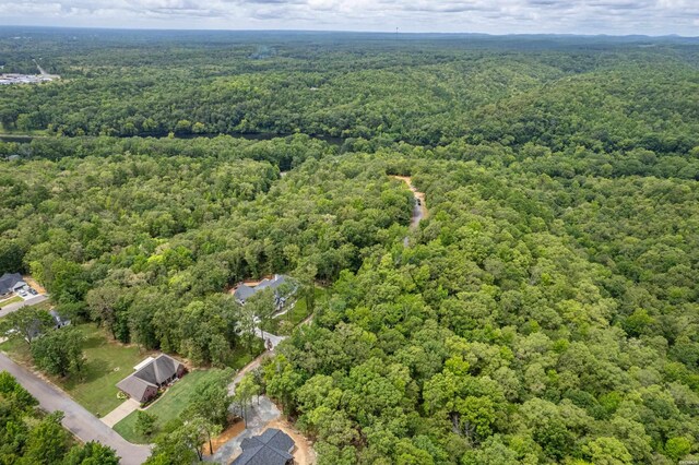 LOT19 Deer Run, Malvern, AR 72104 - photo 10