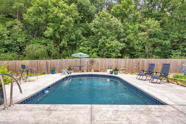 view of pool featuring a fenced in pool, a fenced backyard, and a patio