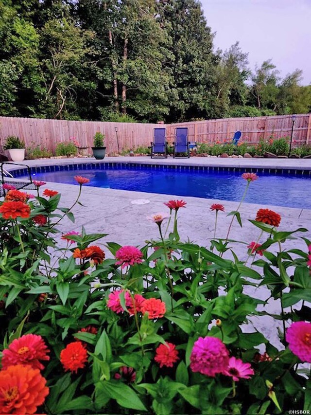 view of swimming pool featuring a fenced backyard and a fenced in pool