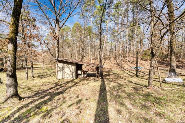 view of yard with an outbuilding