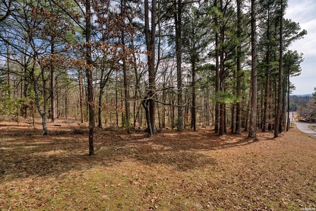 view of local wilderness