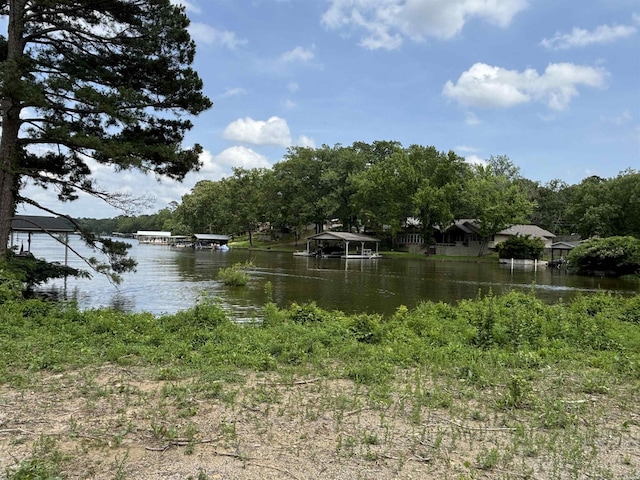 000 Marion Anderson Rd, Hot Springs, AR 71913 - photo 4
