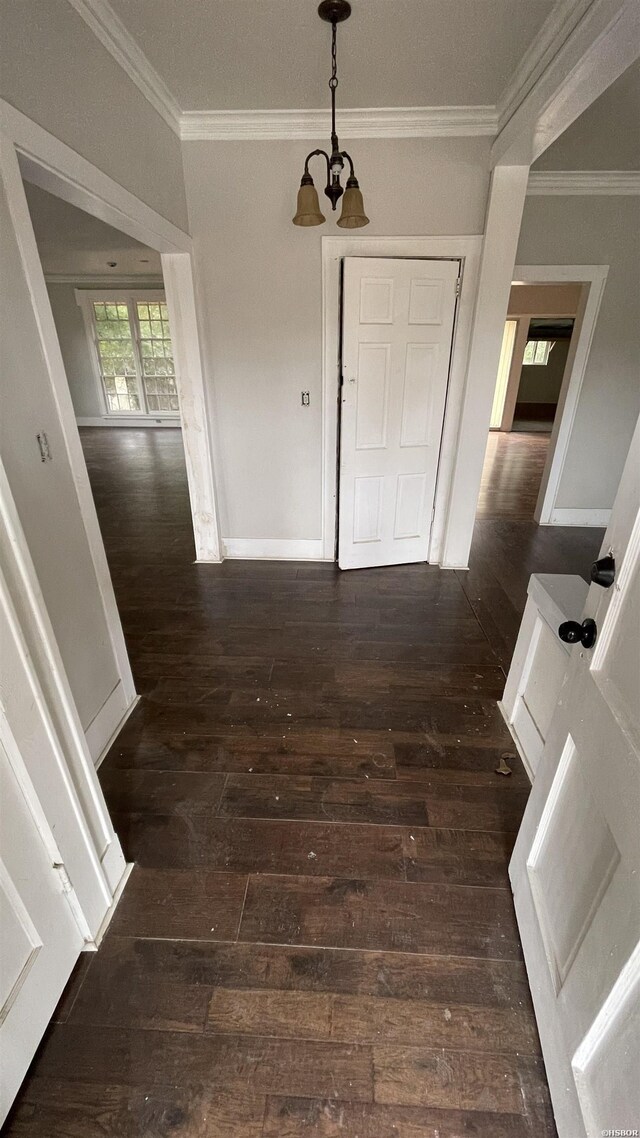 corridor featuring dark wood-style floors, an inviting chandelier, baseboards, and crown molding