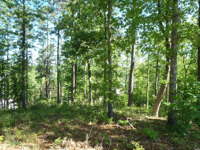 Listing photo 3 for LOT67 Osprey Dr, Hot Springs AR 71913