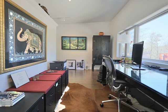 office featuring dark wood-style flooring and track lighting