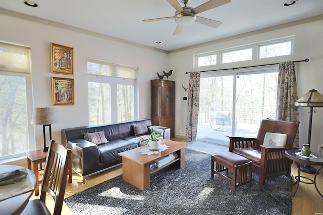 living area with a healthy amount of sunlight, ceiling fan, and wood finished floors