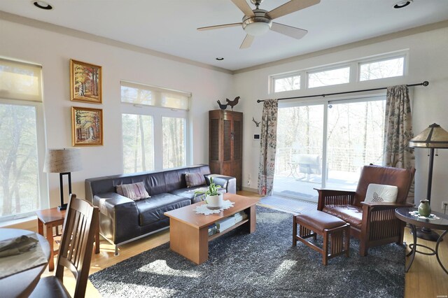 living area with a healthy amount of sunlight, ceiling fan, and wood finished floors