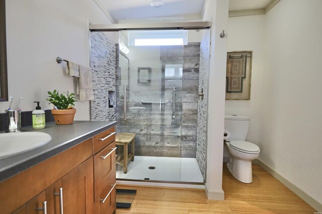 bathroom with toilet, a shower stall, and vanity