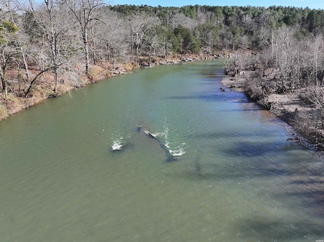 property view of water with a forest view