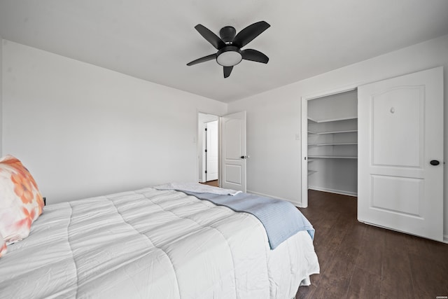 bedroom featuring a walk in closet, a closet, dark wood-type flooring, a ceiling fan, and baseboards