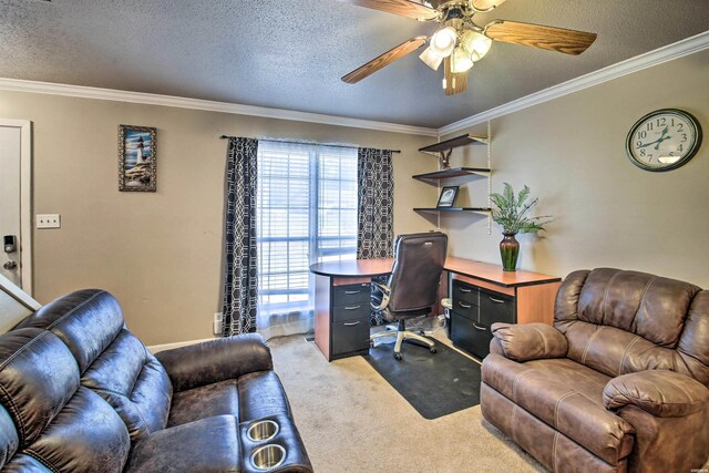 office space with light carpet, ornamental molding, and a textured ceiling