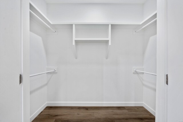 spacious closet featuring wood finished floors