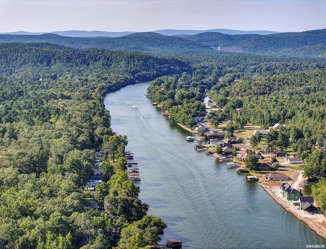 drone / aerial view featuring a wooded view and a water and mountain view