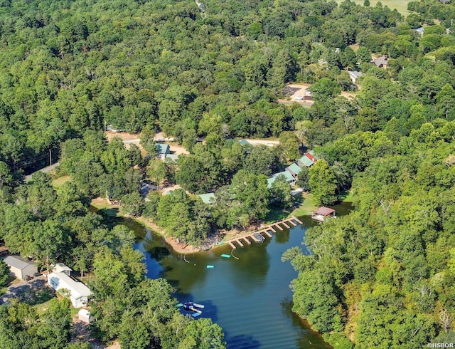 birds eye view of property featuring a water view and a wooded view