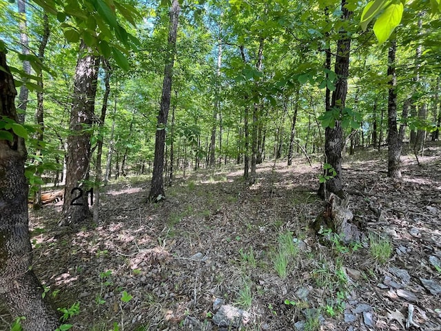 LOT21 Waterview Dr, Hot Springs AR, 71913 land for sale