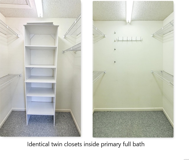 walk in closet featuring carpet
