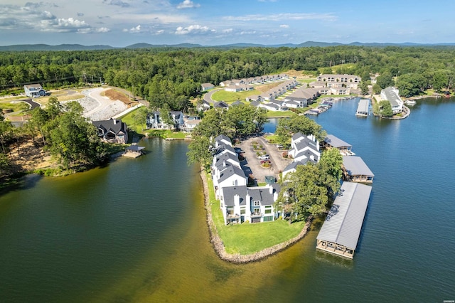 700 Grand Point Dr # 3-2, Hot Springs, AR 71901 - photo 42