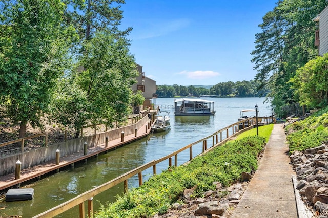 dock area with a water view