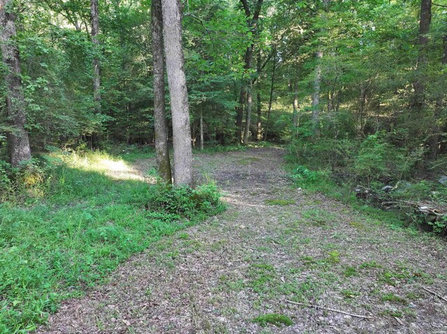 3061 W Hwy 84, Umpire, AR 71971 - photo 37