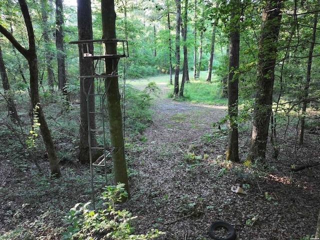 3061 W Hwy 84, Umpire, AR 71971 - photo 41