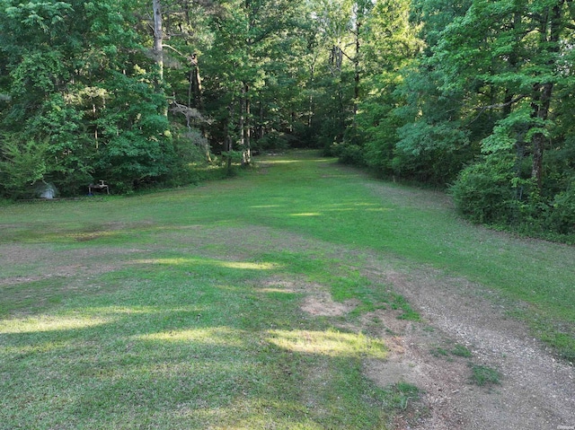 3061 W Hwy 84, Umpire, AR 71971 - photo 36