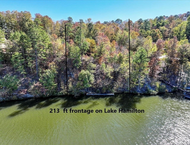 Listing photo 3 for TBD Woodview Lane, Royal AR 71968