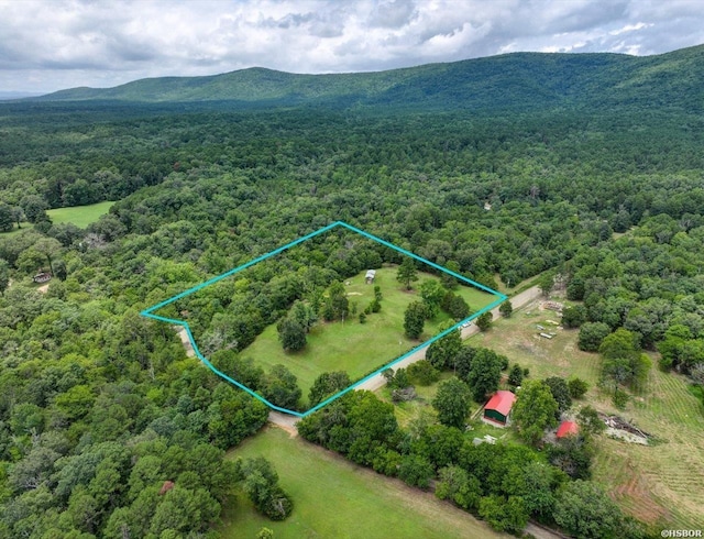 129 Tena Herron Trl, Jessieville, AR 71949 - photo 8