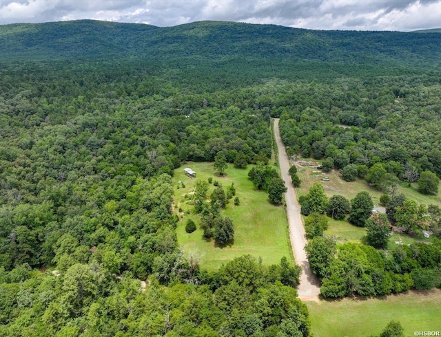 129 Tena Herron Trl, Jessieville, AR 71949 - photo 2