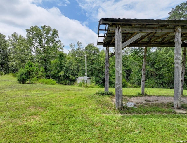 129 Tena Herron Trl, Jessieville, AR 71949 - photo 6