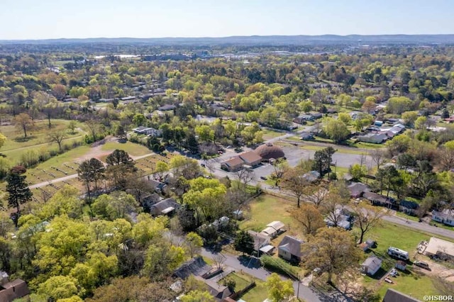 bird's eye view