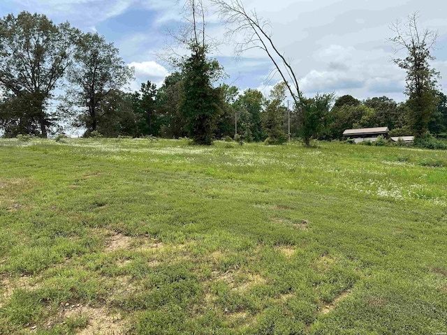 324 Quapaw Rd, Bismarck, AR 71929 - view of yard
