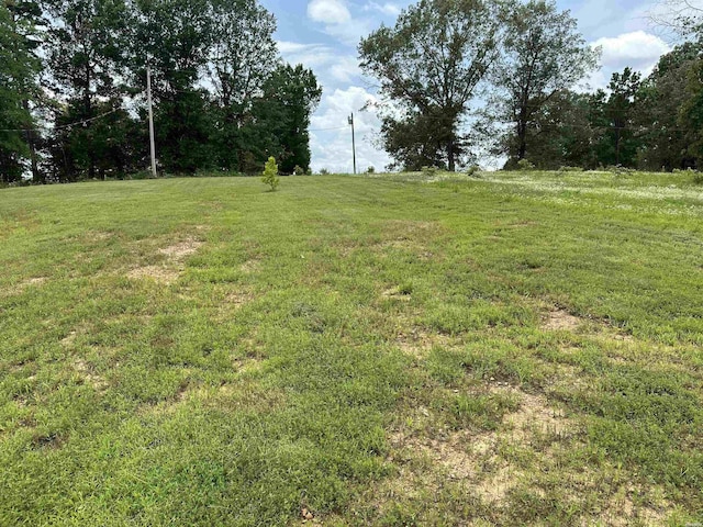 324 Quapaw Rd, Bismarck, AR 71929 - view of green lawn