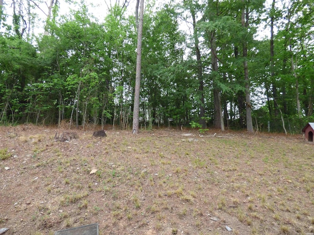 115 Southern Hills Dr, Hot Springs, AR 71901 - photo 14