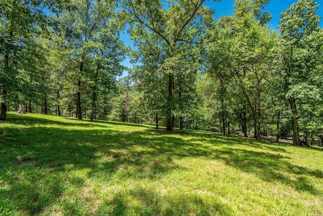 121 Newark Cir, Hot Springs, AR 71901 - photo 34