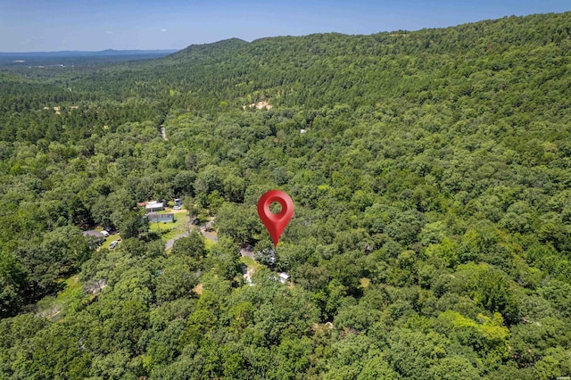 121 Newark Cir, Hot Springs, AR 71901 - photo 43