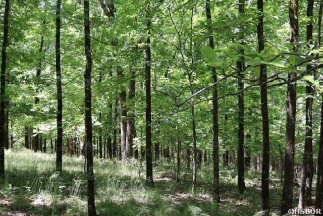 180 Hickory Hill Ter, Hot Springs, AR 71913 - photo 4