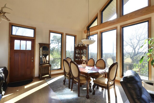 dining room featuring dark wood-style floors, high vaulted ceiling, baseboards, and a healthy amount of sunlight