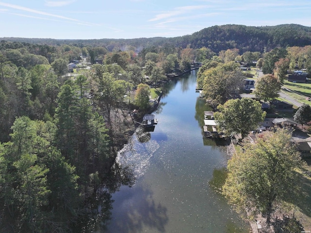 property view of water with a forest view