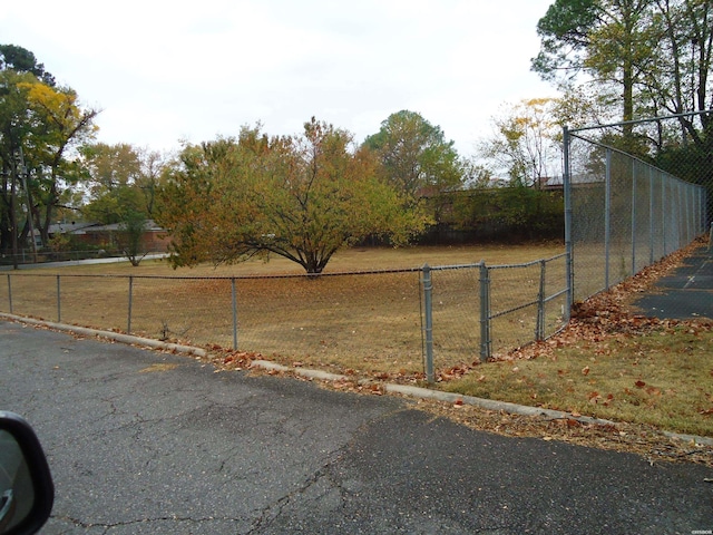 view of street with curbs