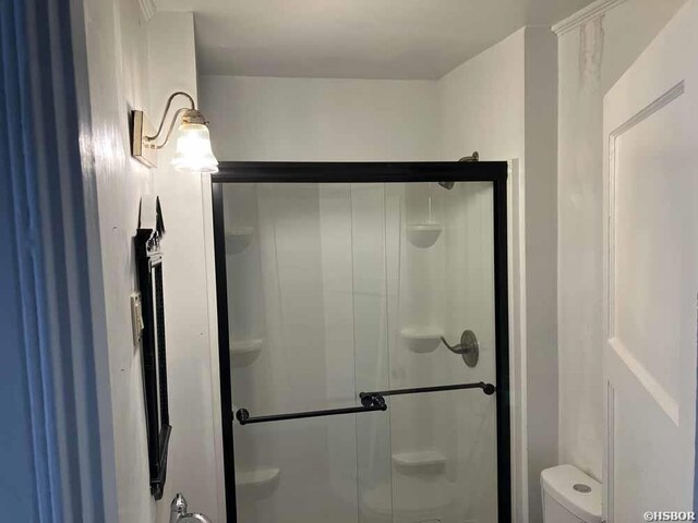 bathroom with toilet and a stall shower