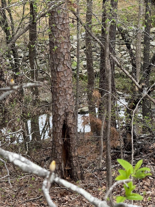 LOT31 Forest View Cir Lot 31, Hot Springs, AR 71913